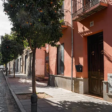 Ibericabeds Realejo Granada